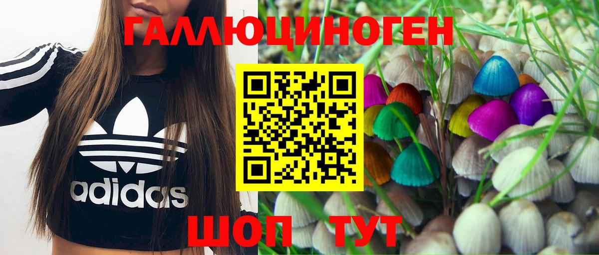 Псилоцибиновые грибы Psilocybine cubensis Сибай