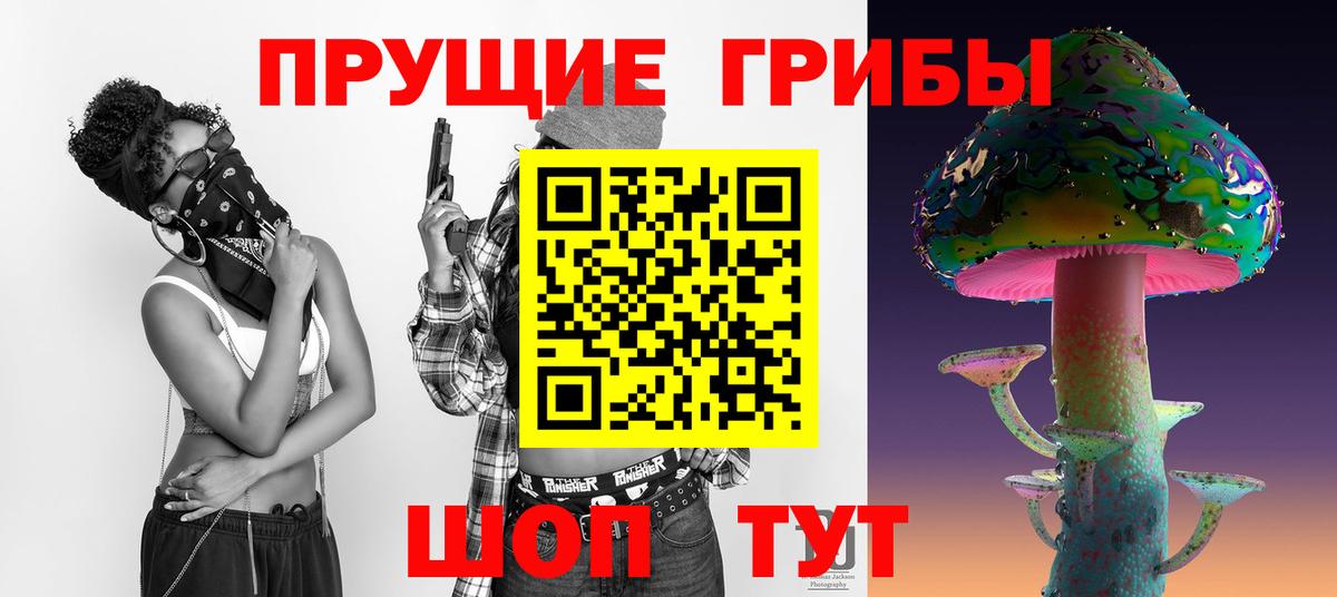 Сибай  Галлюциногенные грибы Psilocybe  Псилоцибиновые грибы мицелий  Вход с VPN 